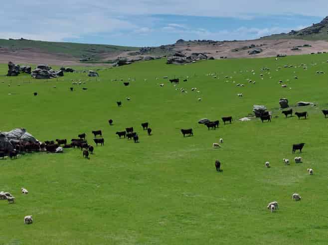 755-971 Linnburn Runs Road, Paerau