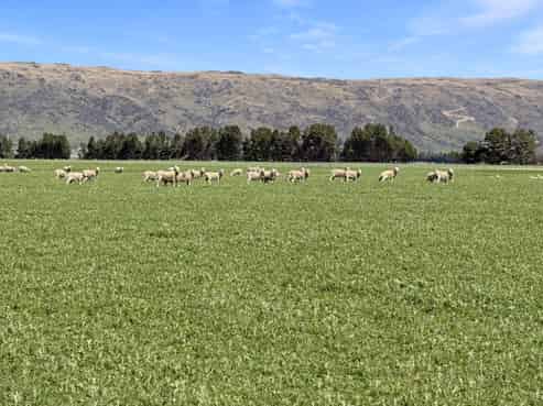 755-971 Linnburn Runs Road, Paerau