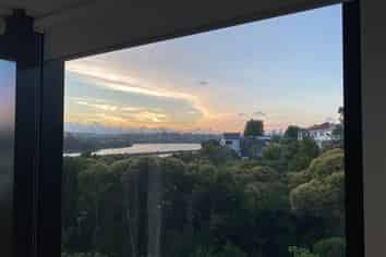 101/27 Grace Street, Orakei