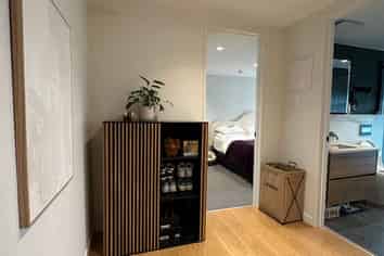 101/27 Grace Street, Orakei