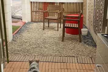 Auckland - Address withheld