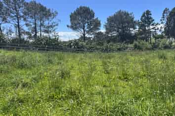 219 Awhitu Central Road, Awhitu