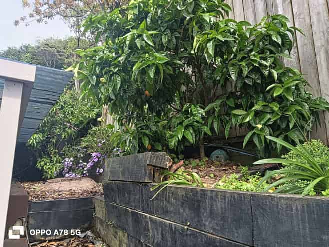 8/103 Hinemoa Street, Birkenhead