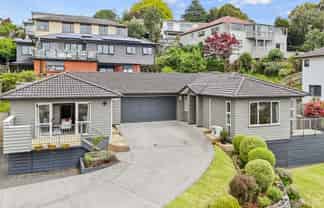 26 Alexia Place, Flat Bush