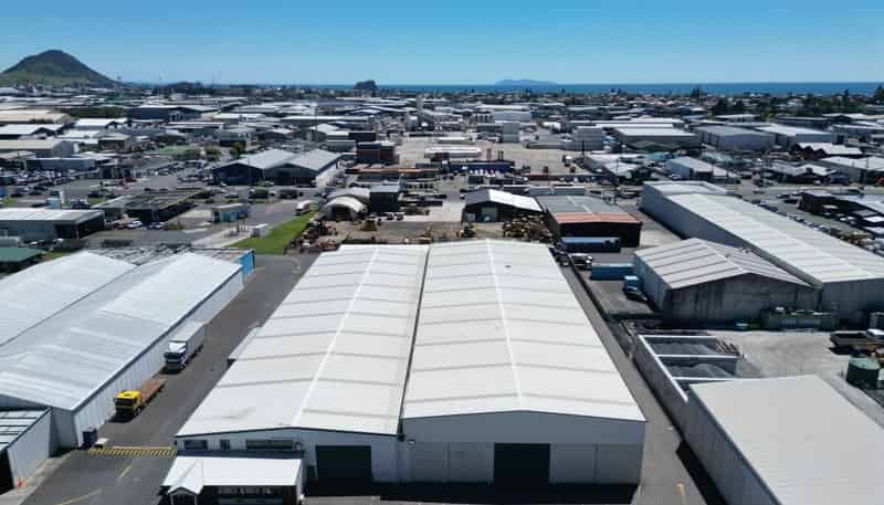 14B Harvard Way, Mount Maunganui