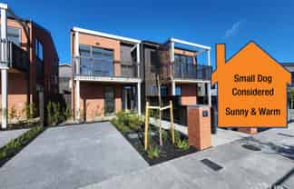 8 Rahopuru Road, Westgate