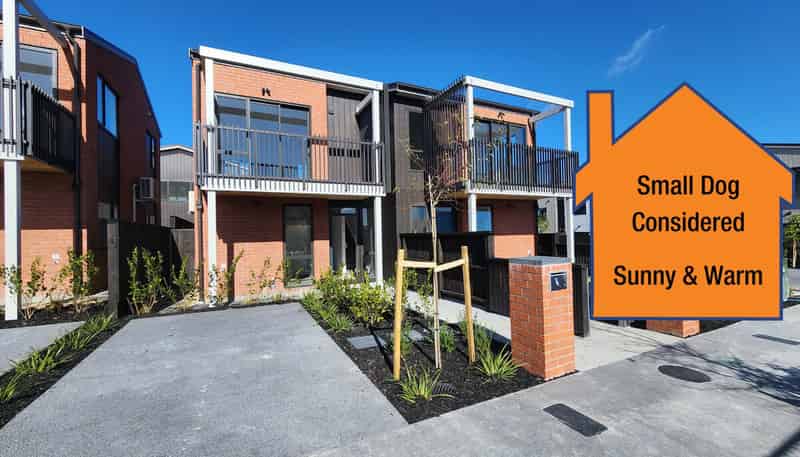 8 Rahopuru Road, Westgate