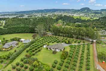 292 Vinegar Hill Road, Kauri