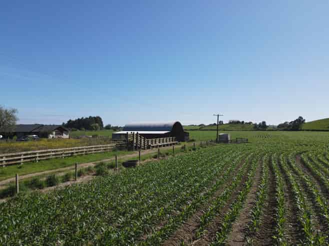 390 Marychurch Road, Matangi