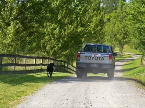 91B Gasson Lane, Pyes Pa