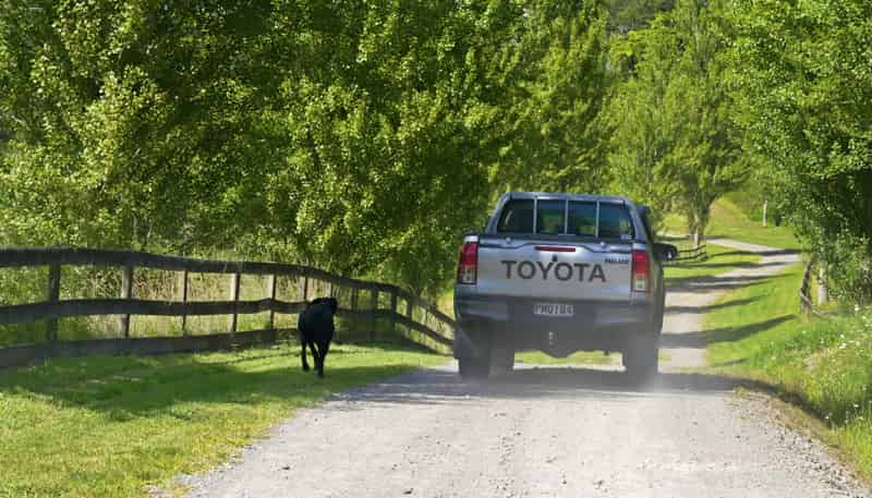 91B Gasson Lane, Pyes Pa