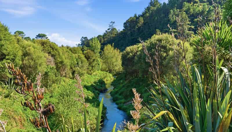 91B Gasson Lane, Pyes Pa