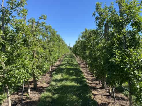 122 Matapiro Road, Crownthorpe, Hastings