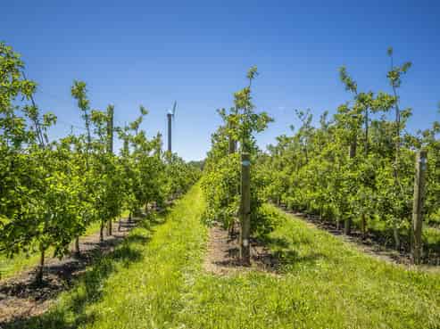 122 Matapiro Road, Crownthorpe, Hastings