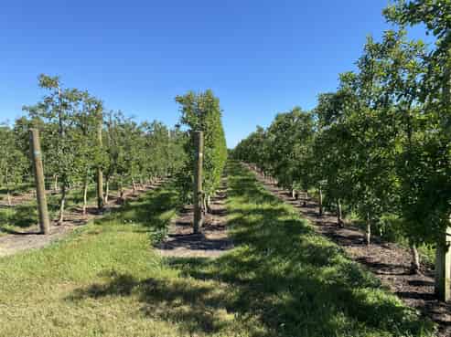 122 Matapiro Road, Crownthorpe, Hastings