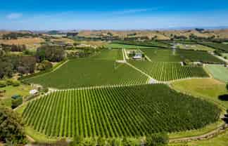  Rakete Orchards LP, Hastings