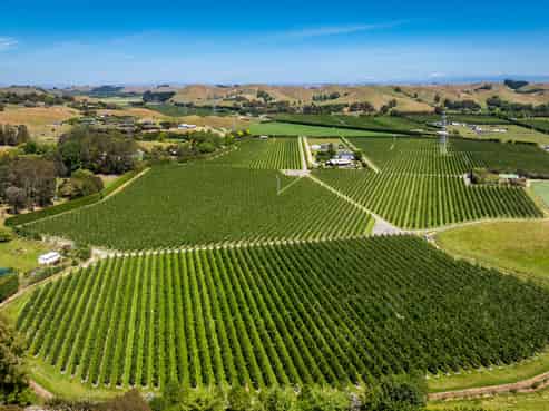 122 Matapiro Road, Crownthorpe, Hastings