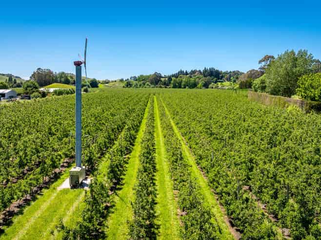  Rakete Orchards LP, Hastings