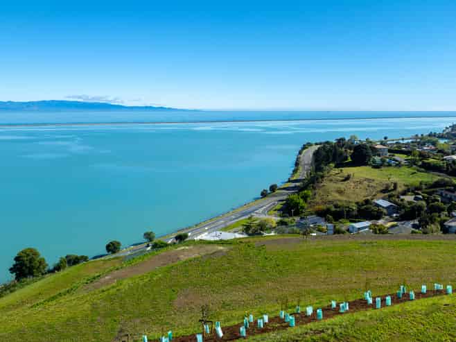 Stage 7A Bay View Subdivision, Atawhai