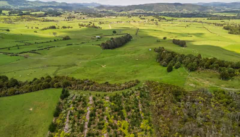 4580 State Highway 12, Kaikohe