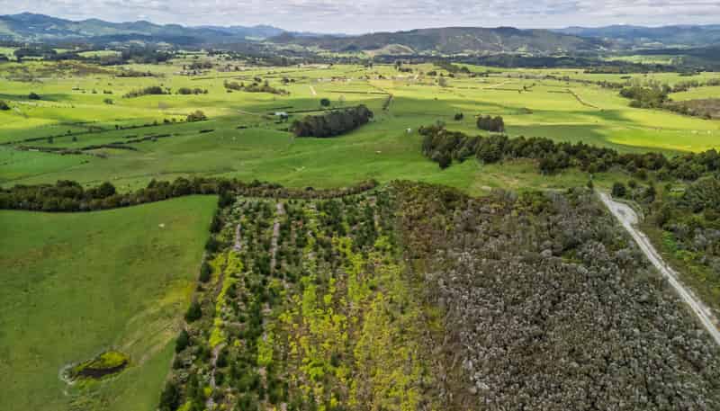 4580 State Highway 12, Kaikohe