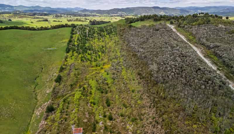 4580 State Highway 12, Kaikohe
