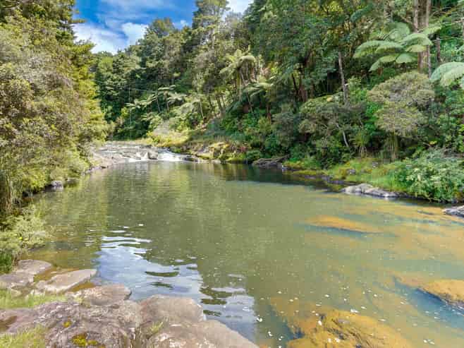 314F Waipapa Road, Waipapa