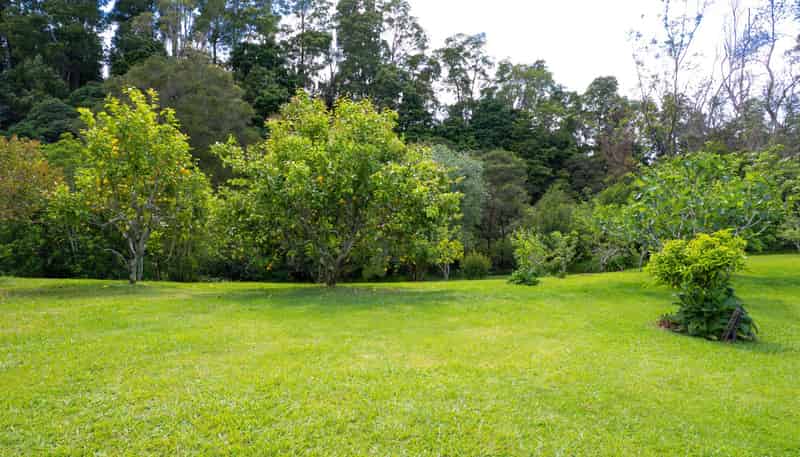 314F Waipapa Road, Waipapa