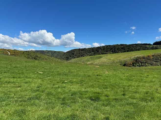 205 Otokia-Kuri Bush Road, Kuri Bush