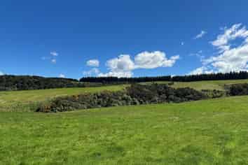 205 Otokia-Kuri Bush Road, Kuri Bush