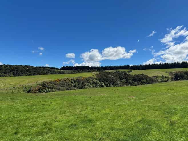 205 Otokia-Kuri Bush Road, Kuri Bush