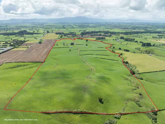 1653 Morrinsville-Tahuna Road, Morrinsville