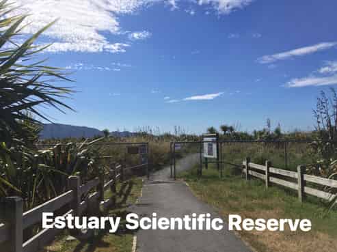 102 The Drive, Paraparaumu