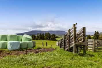 165 Oxford Road, Okato