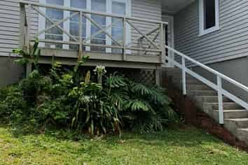 46 Shoreham Street, Avondale