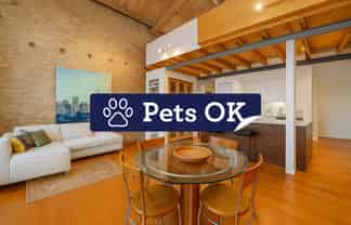 203C Hobson Street, Auckland Central