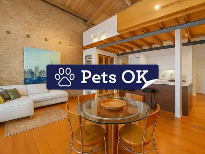 203C Hobson Street, Auckland Central