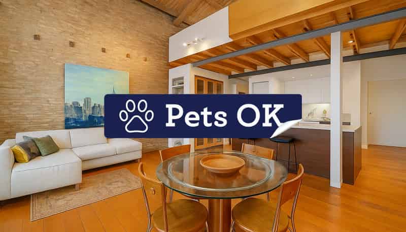 203C Hobson Street, Auckland Central