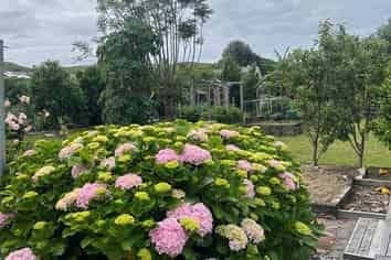 Gisborne - Address withheld