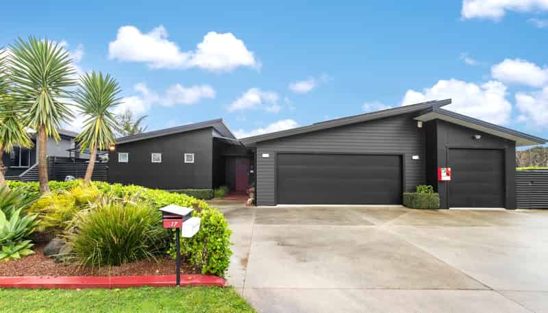17 William Andrew Road, Pukekohe