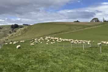 2207 Otautau Tuatapere Road, Pukemaori