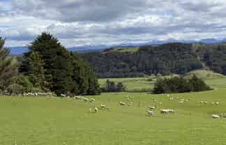 2207 Otautau Tuatapere Road, Pukemaori