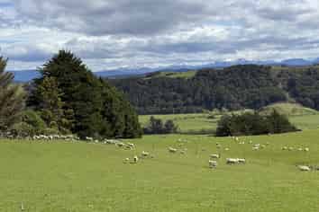 2207 Otautau Tuatapere Road, Pukemaori