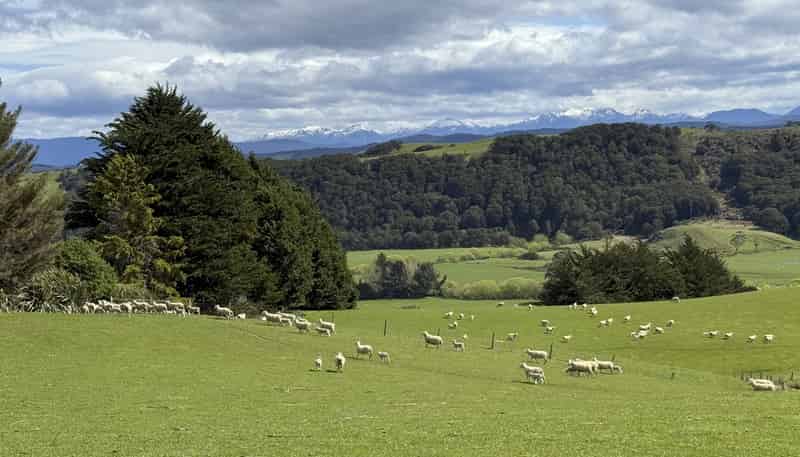 2207 Otautau Tuatapere Road, Pukemaori