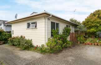 24a Plunket Ave, Petone