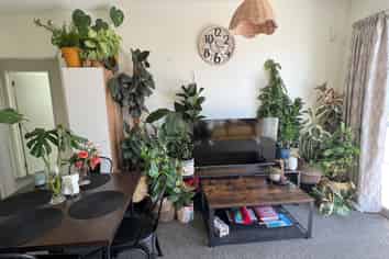 1/344 Ferry Road, Waltham