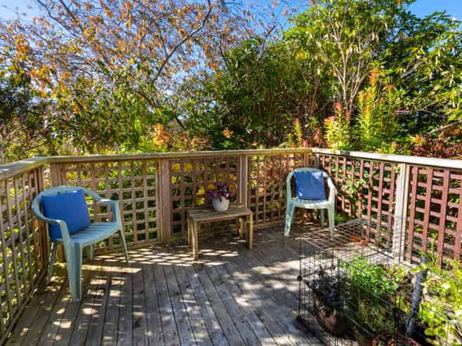 59 Braeview Crescent, Maori Hill