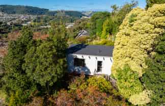 59 Braeview Crescent, Maori Hill