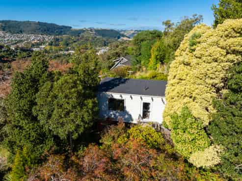 59 Braeview Crescent, Maori Hill