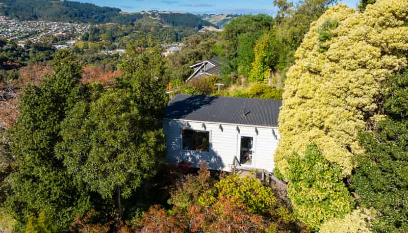 59 Braeview Crescent, Maori Hill